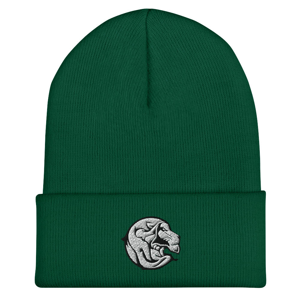 Cuffed Beanie
